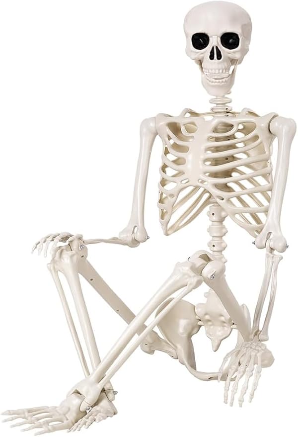 2 Pack 36" Halloween Skeleton - 3 ft Life Size Human Skeleton with Full Body Posable Joints - Spooky Scary Plastic Skeletons for Outdoor Decoration, Halloween Party Decor, Haunted House Props