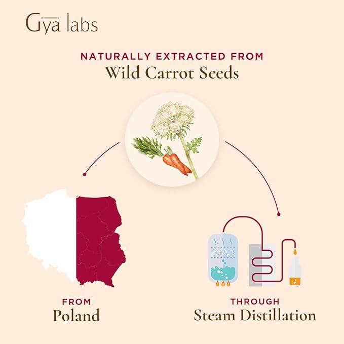 Gya Labs Carrot Seed Essential Oil - 0.34 Fl Oz - 100% Pure Natural Carrot Oil for Skincare, Hair, Scalp & Aromatherapy, Massages ,DIY &Candle Making Scent