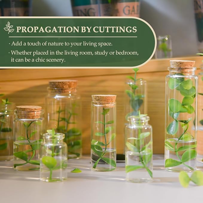 JIUYUE 4 pcs 50 ml Glass Bottles with Cork,Storage Bottles for Liquids(1.7 oz-1.85x1.96 inch)