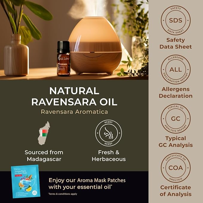 Gya Labs Ravensara Essential Oil for Diffuser - 0.34 Fl Oz - 100% Pure Natural Ravensara Oil for Skin, Hair, Aromatherapy & Candle Making Scent