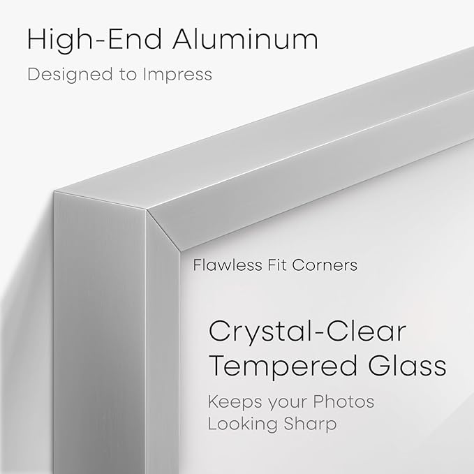 Homeforia 20x24 Picture Silver Frame, High End Metal 20 x 24 Poster Frames with Mat 16 by 20 for Photo, 20x24 Silver Frame Matted to 16x20 Art, 24x20 Hanging Frames, Tempered Glass, Wall Kit, Set of 1