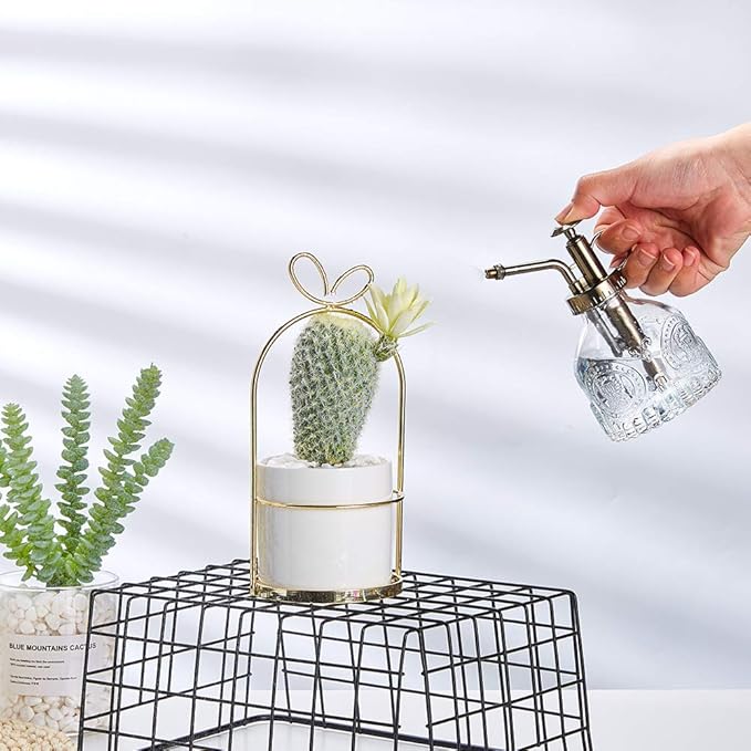 Glass Spray Bottle, 6.5" Tall Vintage Spritzer, Succulent Watering Bottle with Top Pump, Indoor Outdoor Plant Sprayer - Clear