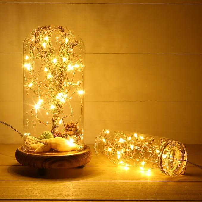ANJAYLIA LED Fairy String Lights, 10Ft/3M 30leds Firefly String Lights Garden Home Party Wedding Festival Decorations Crafting Battery Operated Lights, Warm White