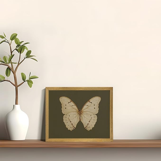 Wood Framed White Butterfly Wall Art, Vintage Butterfly Oil Paintings, Dark Moody Insect Canvas Prints, Boho Sage Green Wall Decor, for Bedroom Kitchen Bathroom Cottagecore Room Decor - 8x10 Inch