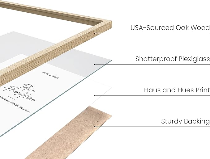 HAUS AND HUES Set of 6 9 X 12 Picture Frame - 9x12 Frame Collage Picture Frames for Wall, 9x12 Picture Frame Sets Wooden Frames, 12x9 Picture Frames in Bulk Wooden Picture Frames (Beige Oak Frame)