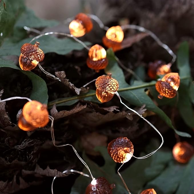 Decorative Fairy Acorn String Lights Thanksgiving Decoration Autumn Garland Cute Novelty Lights 30 LEDs 10 ft Battery Operated for Bedroom Wedding Birthday Harvest Decor