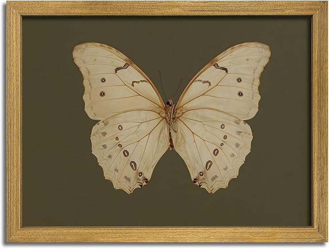 Wood Framed White Butterfly Wall Art, Vintage Butterfly Oil Paintings, Dark Moody Insect Canvas Prints, Boho Sage Green Wall Decor, for Bedroom Kitchen Bathroom Cottagecore Room Decor - 8x10 Inch