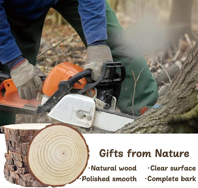 10 Pcs 9-11 Inch Unfinished Wood Slices for Centerpieces,Natural Wood Rounds for Crafts Rustic Wedding and Table Decorations,Wooden Discs with Tree Bark,Ideal for Crafts,Painting,and Holiday Decor