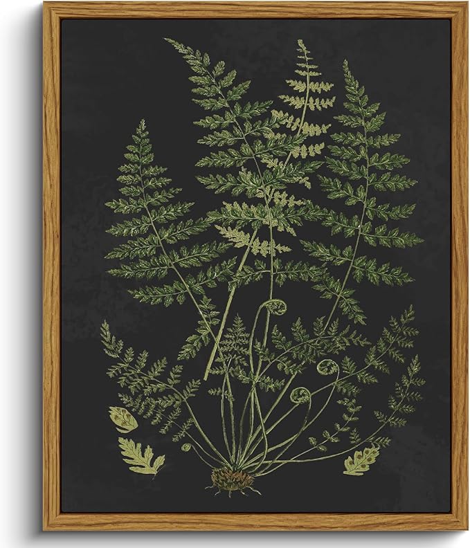 VIYYIEA Framed Canvas Wall Art Home Decor Minimalist Botanical Print Boho Pictures for Rustic Vintage Farmhouse Artwork Bedroom Bathroom House Decor Kitchen Wall Decor 8x10in 8x10in