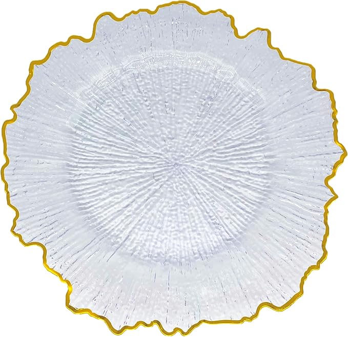 Henilosson 6 Pack 13" Plastic Round Reef Clear Charger Plates ,With Rim gold Dinner Acrylic Charger Plates (6,Reef Gold Clear)