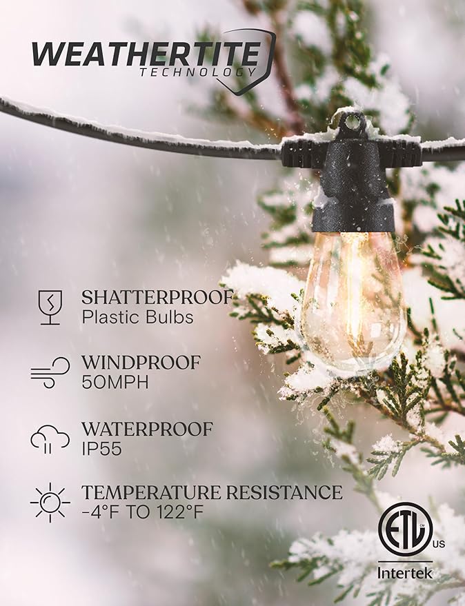 Brightech Ambience Pro 27-Ft Solar String Lights for Outside - Super Bright Remote Control Color Adjustable Outdoor String Light - Commercial Grade String, Waterproof LED for Patios, Camping, 12 Bulbs