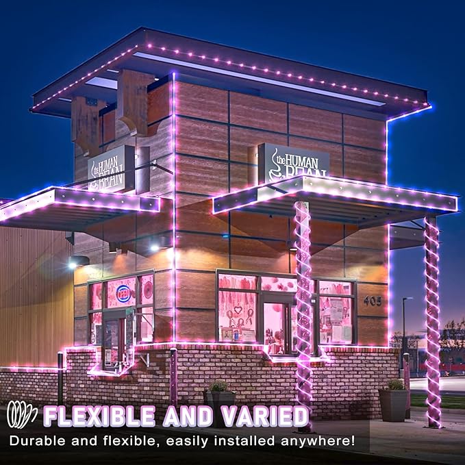 100FT 300 LED Rope Lights Outdoor, Connectable and Flexible Tube Lights with 8 Modes, Waterproof Rope Lighting Indoor for Deck, Garden, Backyard, Pool, Patio, Pool, Camping Decorations - Pink