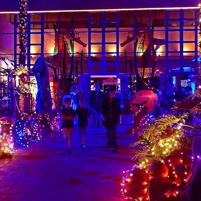 Dazzle Bright Fairy String Lights, 20 FT 60 LED Copper Wire Battery Operated Waterproof Lights, Halloween Decorations for Indoor Home Outdoor Garden Patio Yard Party Decor (Orange, 1)