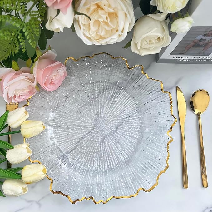 Henilosson 6 Pack 13" Plastic Round Reef Clear Charger Plates ,With Rim gold Dinner Acrylic Charger Plates (6,Reef Gold Clear)