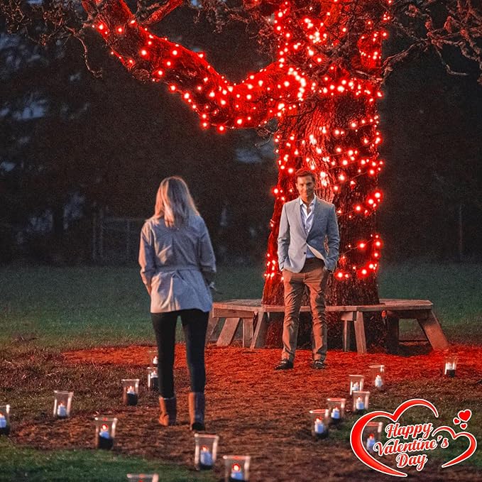 262FT 800 LED Christmas Lights, Plug in Christmas Tree Lights Outdoor with Timer and 8 Modes, Green Wire Waterproof String Light for Indoor House Yard Patio Wedding Decorations, Red