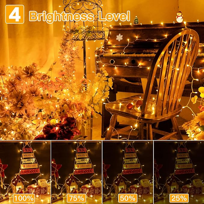 Ollny Christmas String Lights Indoor Outdoor 200LED/66FT Multicolored to Warm White Color Changing with Remote Control Timer 11 Lighting Modes Waterproof for Bedroom House Easter Xmas Decorations