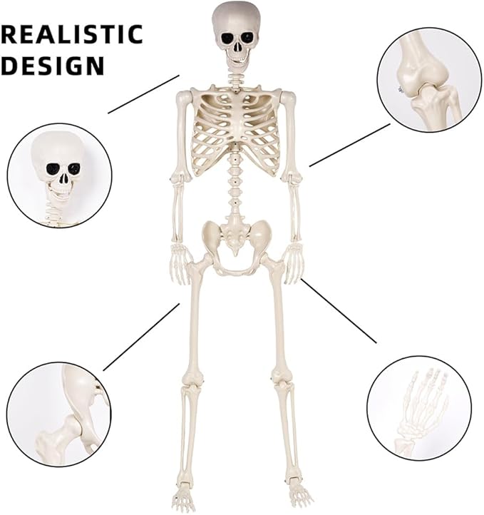Halloween Skeletons Decorations - 5.4FT Life Size Posable Skeletons, Realistic Plastic Full Body Skeletons for Halloween Party Outdoor Haunted House Graveyard Decor