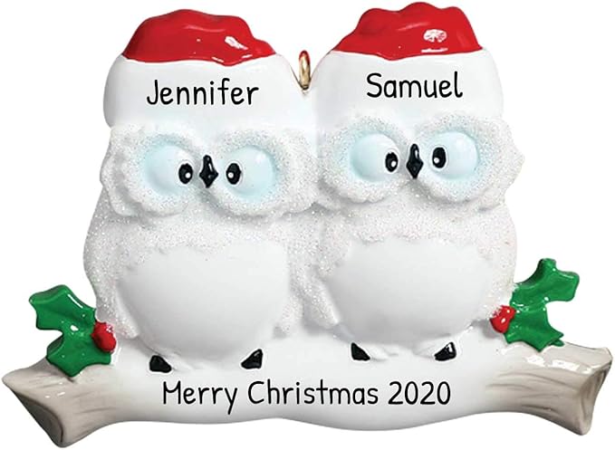 3D Personalized Our First Christmas Ornament 2025 | Custom Owl Couple Ornaments Winter White Owls Couples Ornament 2025 Family of 2 Unique for a Couple Ornaments Couples Unique Gifts