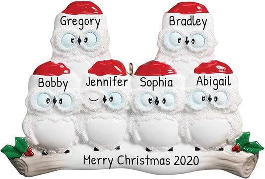 3D Owl Family of 6 Ornament 2025 Personalized Family Christmas Ornaments 2025 | White Holiday Keepsake Woodland Owls Personalized Tree Ornaments for Grandchildren, Siblings & Grandkids of Six Ornament
