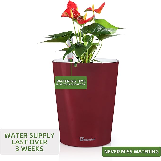 Dexceder 6x7 Self Watering Planter Indoor Outdoor, High Gloss Table Flower Plant Pot with Water Level Indicator (Wine Red)