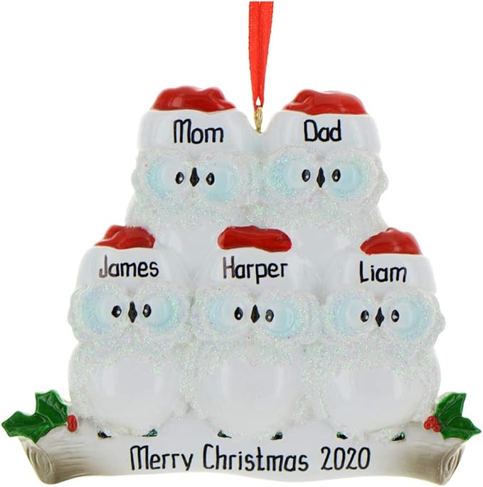 3D Owl Family of 5 Christmas Ornament 2025 Personalized Family Christmas Ornaments 2025 | White Holiday Keepsake Personalized Tree Ornaments Customizable Gifts Woodland Owls of Five Ornament Holly