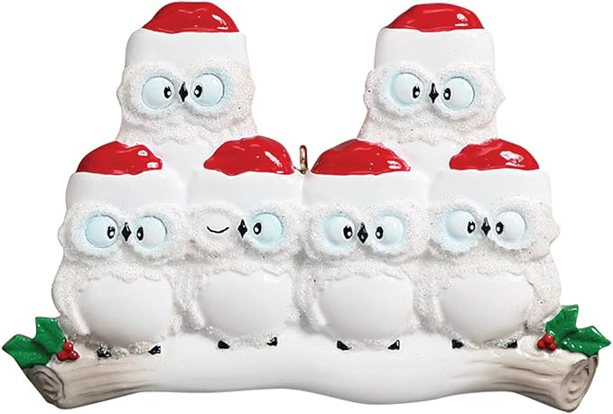 3D Owl Family of 6 Ornament 2025 Personalized Family Christmas Ornaments 2025 | White Holiday Keepsake Woodland Owls Personalized Tree Ornaments for Grandchildren, Siblings & Grandkids of Six Ornament