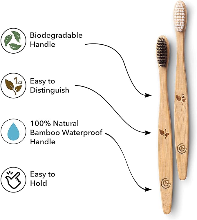 Greenzla Bamboo Toothbrushes for Adults – 12 Pack Wooden Toothbrush Set with Charcoal-Infused Soft Bristles, Natural Oral Care for Daily Use
