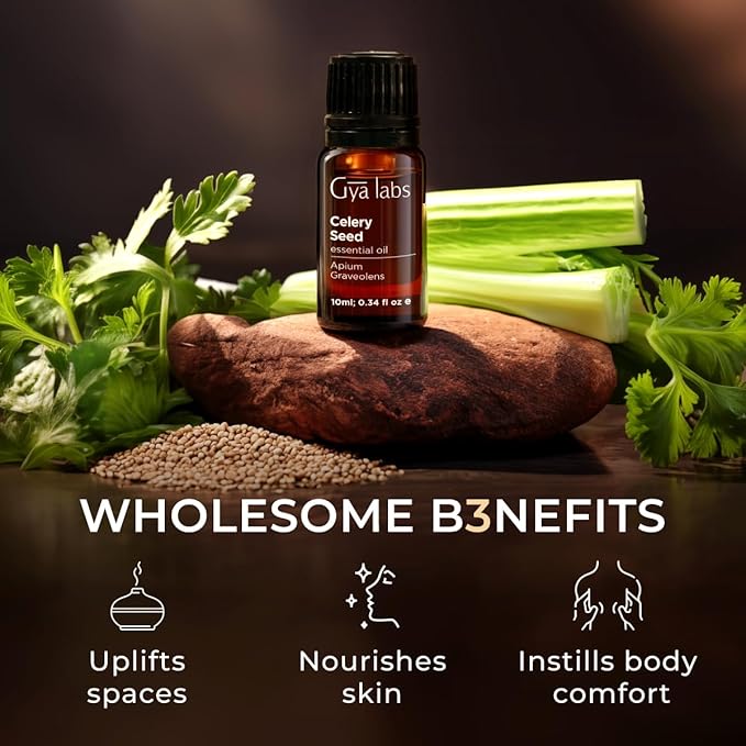 Gya Labs Celery Seed Essential Oil for Diffuser - 0.34 Fl Oz - 100% Pure Natural Celery Seed Oil for Skin & Face, Massage, Candle Making Scent