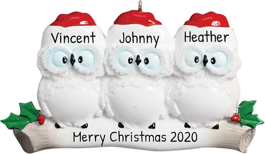 3D Owl Family of 3 Christmas Ornament 2025 Personalized Family Christmas Ornaments 2025 | White Holiday Keepsake Personalized Tree Ornaments Customizable Gifts Woodland Owls of Three Ornament Holly