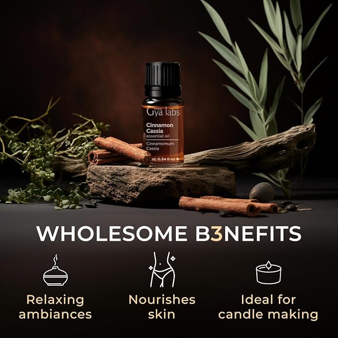 Gya Labs Cinnamon Cassia Essential Oil - 0.34 Fl Oz - 100% Pure Natural Cassia Oil for Hair & Skin, Diffuser, DIY Recipes & Candle Making Scent
