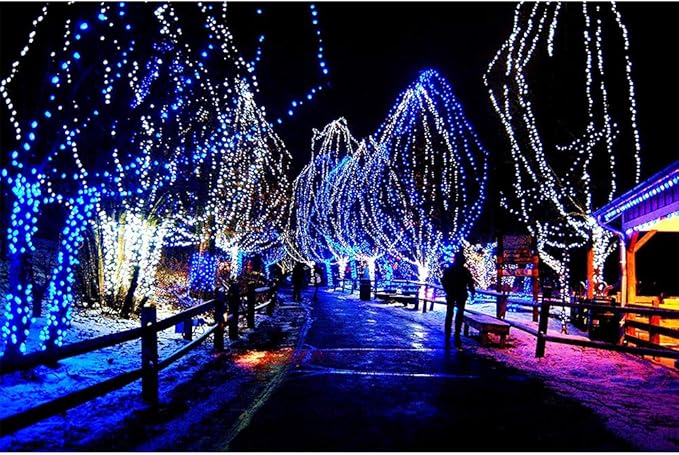 33FT 100 LEDs String Lights Waterproof Fairy Lights 8 Modes with Memory 30V UL Certified Power Supply for Home, Garden, Wedding, Party, Christmas Decoration Indoor Outdoor (Cool White+Blue)