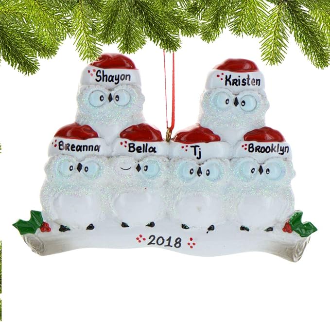 3D Owl Family of 6 Ornament 2025 Personalized Family Christmas Ornaments 2025 | White Holiday Keepsake Woodland Owls Personalized Tree Ornaments for Grandchildren, Siblings & Grandkids of Six Ornament
