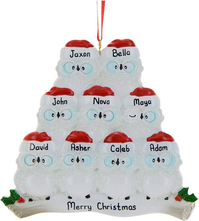 3D Owl Family of 9 Christmas Ornament 2025 Personalized Family Christmas Ornaments 2025 | White Holiday Keepsake Personalized Tree Ornaments Customizable Gifts Woodland Owls of Nine Ornament Holly