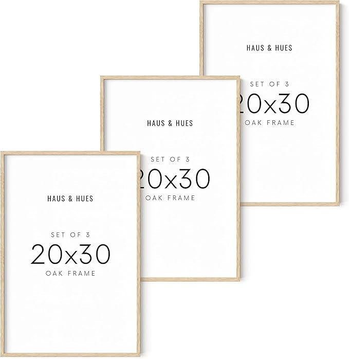 HAUS AND HUES 20x30 Picture Frames - Set of 3: Beige Framed Poster Frames