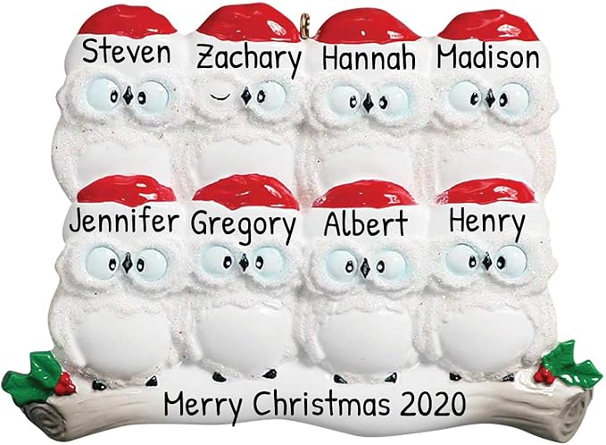 3D Owl Family of 8 Christmas Ornament 2025 Personalized Family Christmas Ornaments 2025 | White Holiday Keepsake Personalized Tree Ornaments Customizable Gifts Woodland Owls of Eight Ornament Holly