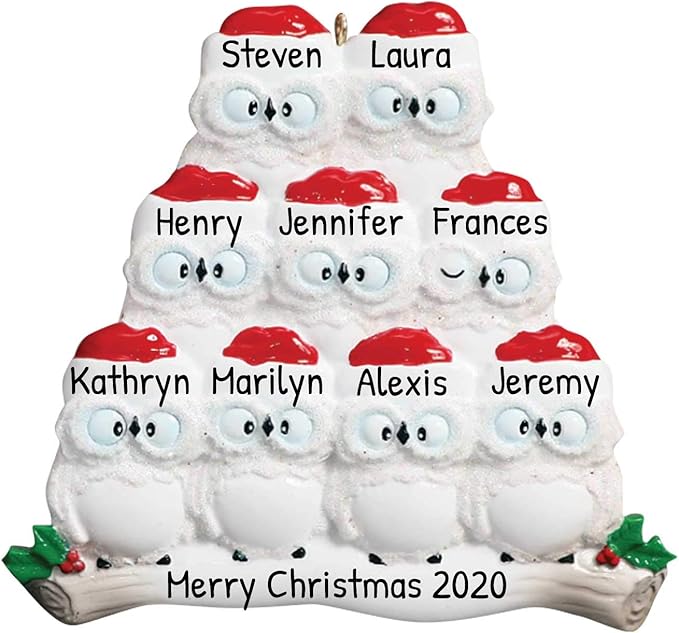 3D Owl Family of 9 Christmas Ornament 2025 Personalized Family Christmas Ornaments 2025 | White Holiday Keepsake Personalized Tree Ornaments Customizable Gifts Woodland Owls of Nine Ornament Holly