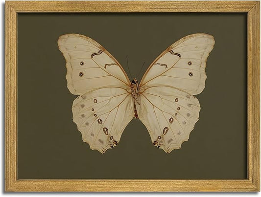 Wood Framed White Butterfly Wall Art, Vintage Butterfly Oil Paintings, Dark Moody Insect Canvas Prints, Boho Sage Green Wall Decor, for Bedroom Kitchen Bathroom Cottagecore Room Decor - 8x10 Inch