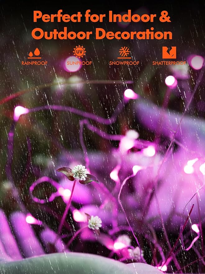 Twinkle Star 2 Pack Outdoor Solar String Lights, Total 80FT 240 LED Solar Powered Halloween Decorative Fairy Lights with 8 Modes, Waterproof Black Wire Light Patio Yard Wedding Party, Purple, 2 Pack