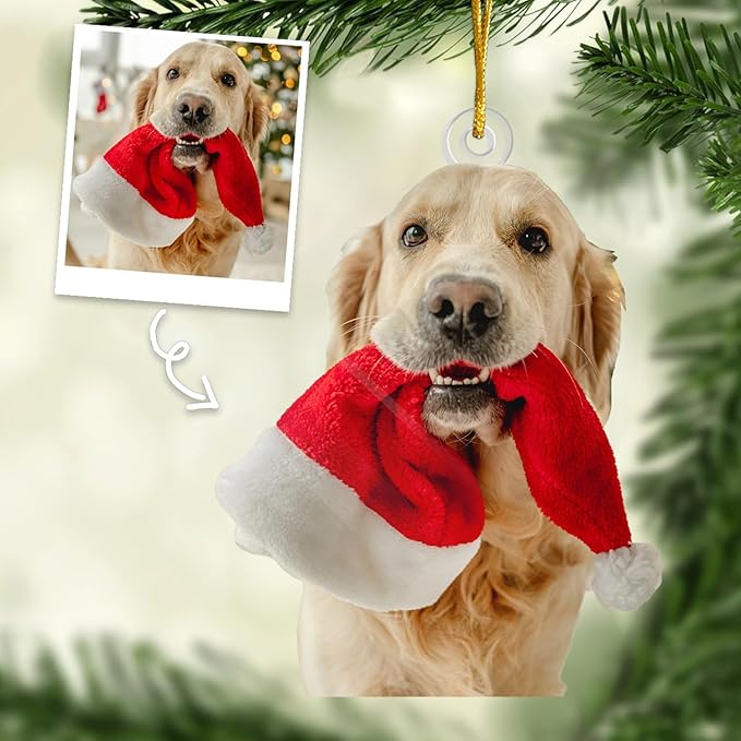 DOPTIKA Personalized Dog & Cat Photo Ornaments, Custom Photo Ornament Gifts for Pet Lovers, 2D Acrylic Christmas Ornaments for Christmas Tree 2025, Cute Pet Ornament