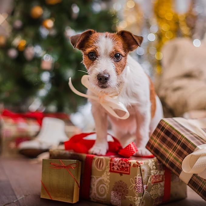 1st Retired Christmas Ceramic Christmas Tree Ornament Collectible Holiday Keepsake 2.875" Round Ornament in Decorative Gift Box with Bow- Perfect Retirement Gifts for Women or Men!