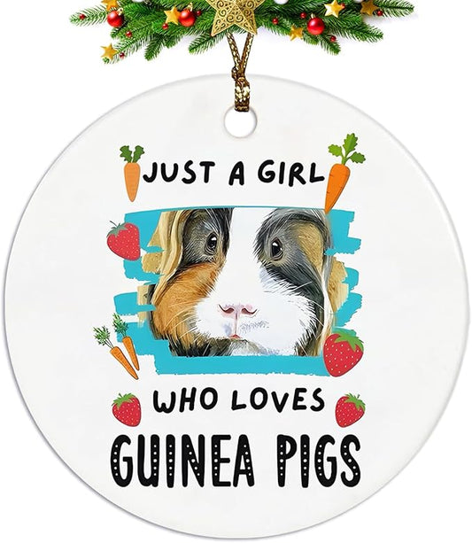Guinea Pig Ornament, Guinea Pig Ornaments for Christmas Tree, Guinea Pig Gifts for Lovers Women, Just a Girl Who Loves Guinea Pigs Ceramic Ornaments, Guinea Pig Decorative Hanging Ornament