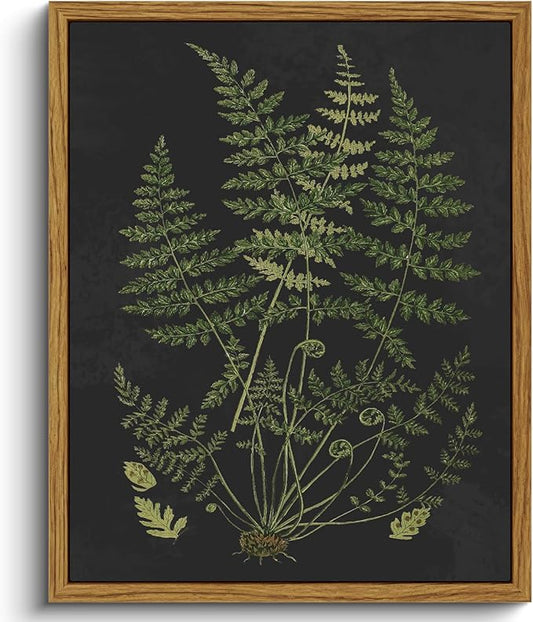 VIYYIEA Framed Canvas Wall Art Home Decor Minimalist Botanical Print Boho Pictures for Rustic Vintage Farmhouse Artwork Bedroom Bathroom House Decor Kitchen Wall Decor 8x10in 8x10in
