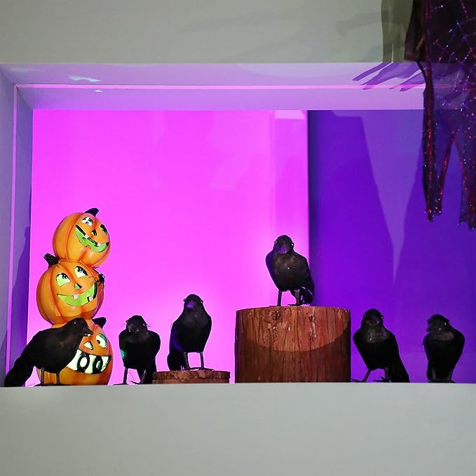 ATDAWN 6 Pack Halloween Black Feathered Crows, Realistic Halloween Birds Decoration for Spooky Decor