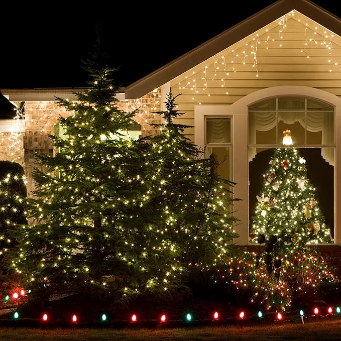 Green Wire,Clear Incandescent Bulb 100 Mini String Lights for Indoor Christmas Tree Garland Birthday Wedding Party Festival Decoration