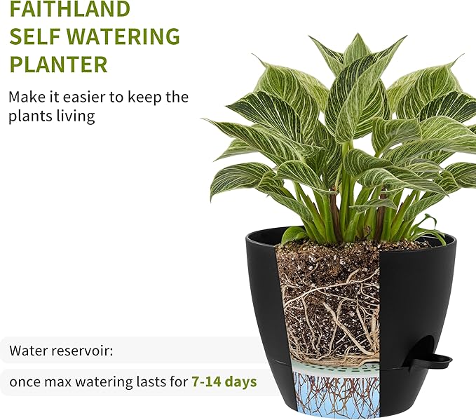 FaithLand 3-Pack Large Planter Pots, 12 10 9 Inch Self Watering Flower Pots for Indoor Outdoor Garden Plants, Black with Brown