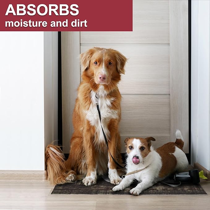 Floor Mat - for Indoor and Outdoor Use - Doormat - Non-Slip - Front Door Shoe Scraper - Size: 17x29