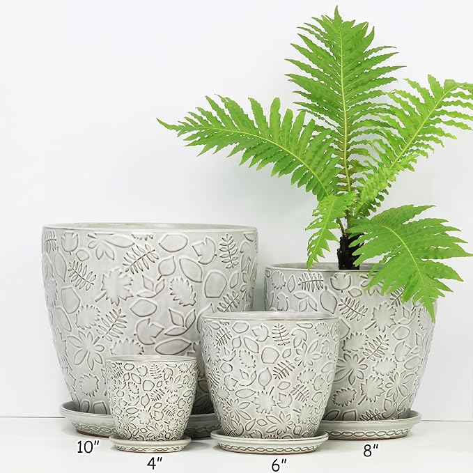 6 Inch Ceramic Planter Pots with Drainage Hole and Saucers for Indoor Plants, Garden Pots for Succulent, Orchid, and Flower - Set of 2