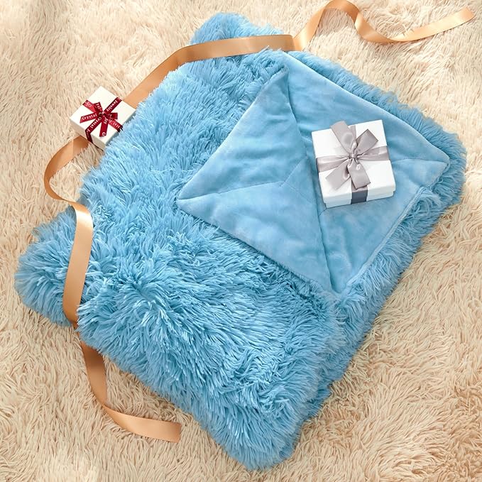 GONAAP Fuzzy Faux Fur Throw Blanket Queen Size Sky Blue Super Soft Cozy Plush Fuzzy Shaggy Blanket for Couch Sofa Bed (Sky Blue, Queen(90"x90"))
