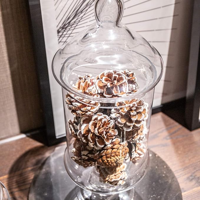 Diamond Star Clear Glass Apothecary Jar Decorative Candy Buffet Jars Elegant Glass Storage Containers (Height: 15" Body: 6.5")