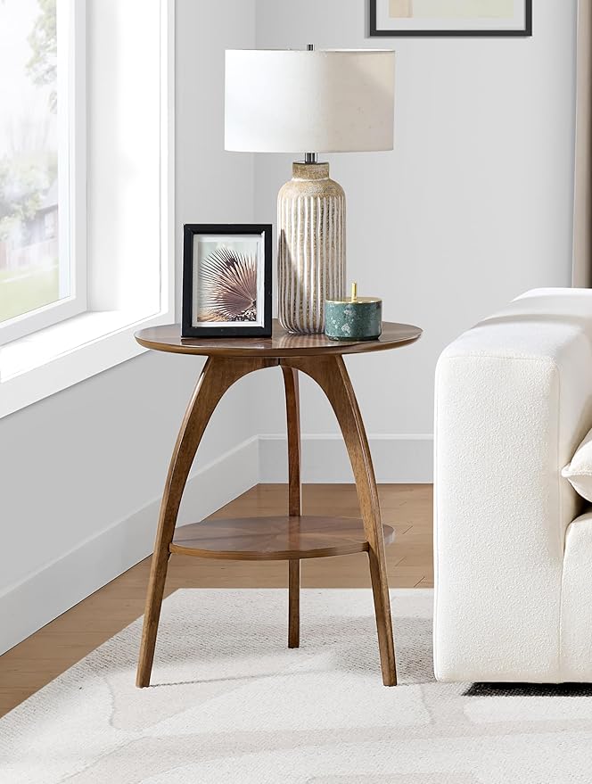 Martin Svensson Home Round Wood Walnut Brown 20" Living Room End Side Accent Table Nightstand with Storage Shelf